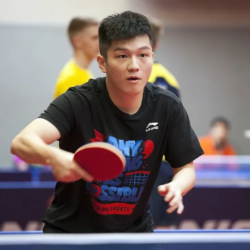 Portrait of Fan Zhendong