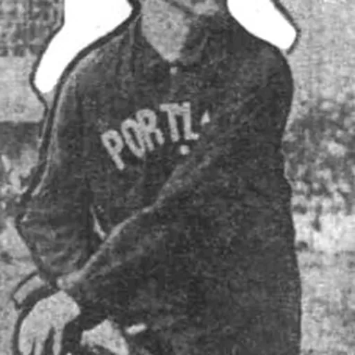 Portrait of Cowboy Jones