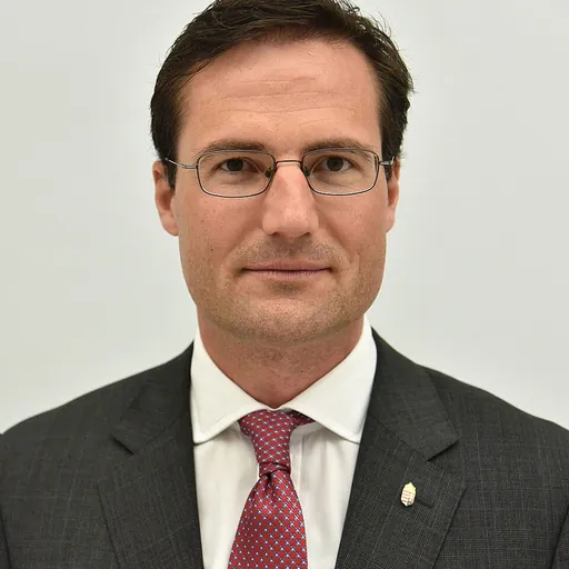 Portrait of Márton Gyöngyösi