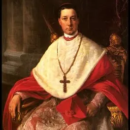 Portrait of Friedrich Johannes Jacob Celestin von Schwarzenberg