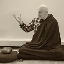 Portrait of Shinzen Young