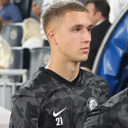Portrait of Petar Petrović