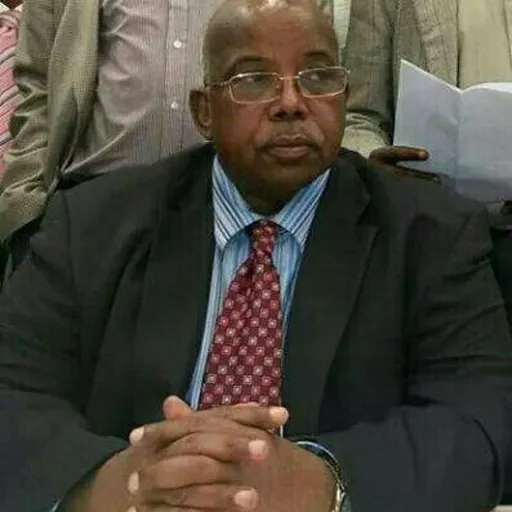 Portrait of Abdullahi Abdi Omar
