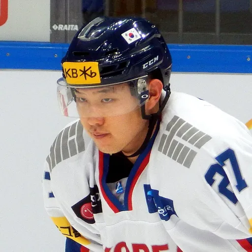 Portrait of Ahn Jin-hui