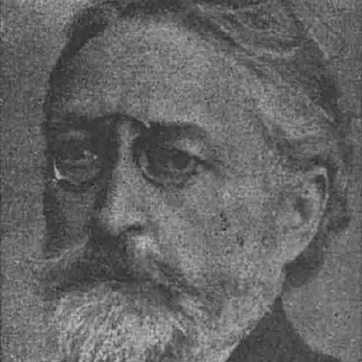 Portrait of Ion Gorun
