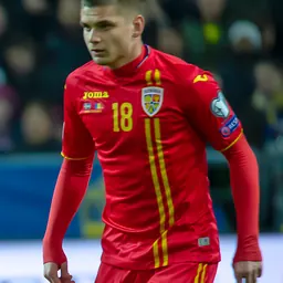 Portrait of Răzvan Marin