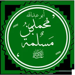 Portrait of Muhammad ibn Maslamah