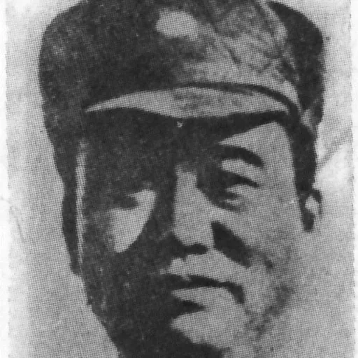 Portrait of Liu Ruming