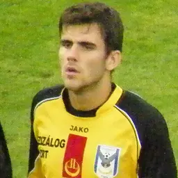 Portrait of Gábor Gyömbér