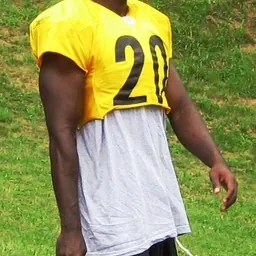 Portrait of Bryant McFadden