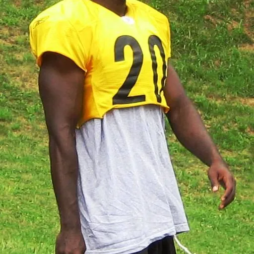 Portrait of Bryant McFadden