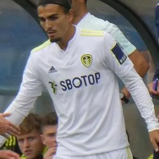 Portrait of Pascal Struijk