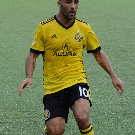 Portrait of Federico Higuaín