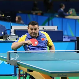 Portrait of Zhao Ping