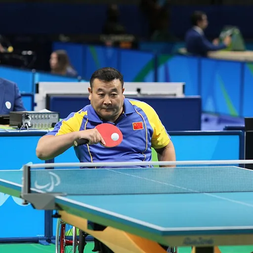 Portrait of Zhao Ping