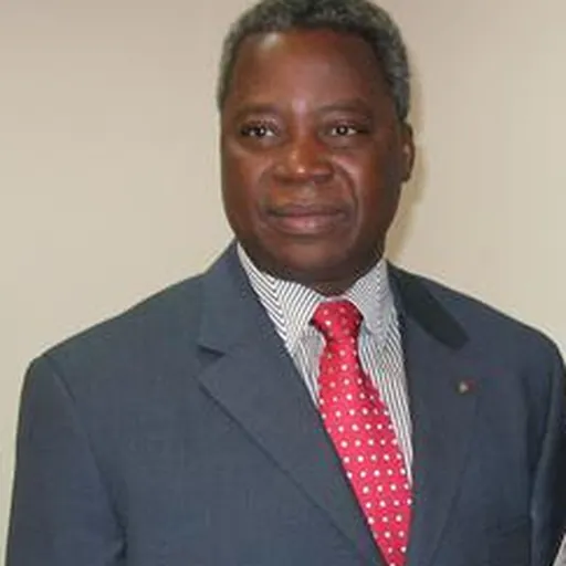 Portrait of Tertius Zongo