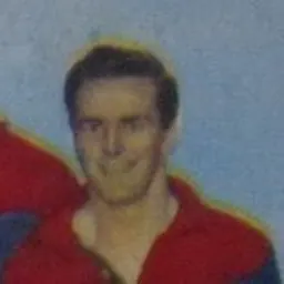 Portrait of Neil Whitaker