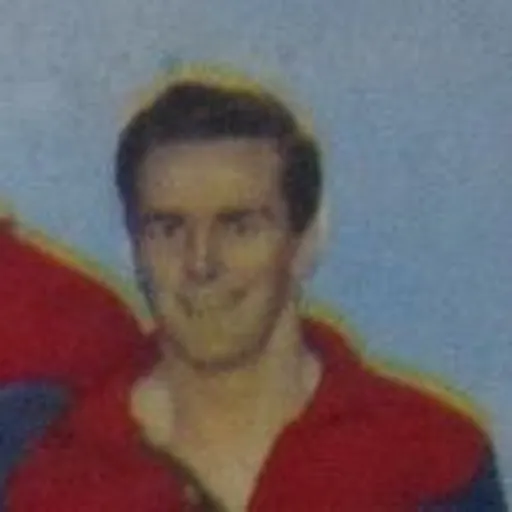 Portrait of Neil Whitaker