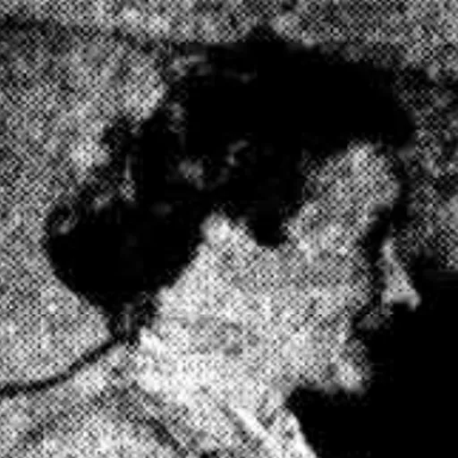Portrait of Marjorie Parker