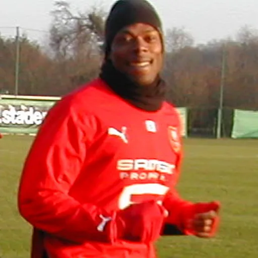 Portrait of Sylvain Wiltord