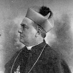 Portrait of James Augustine McFaul