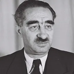 Portrait of Dov Joseph