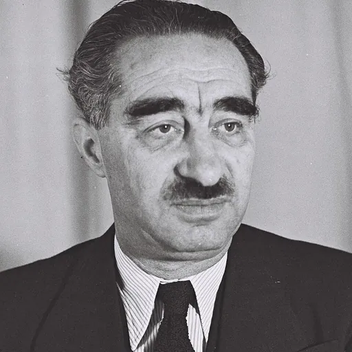 Portrait of Dov Joseph