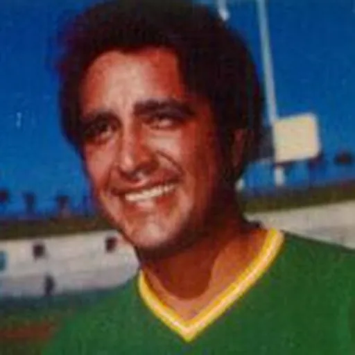 Portrait of Mike Torrez