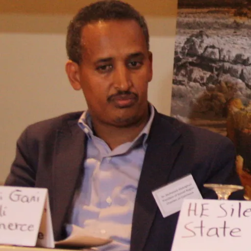 Portrait of Mohamed Abdulghani