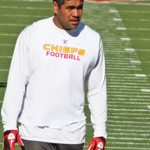Portrait of Tony Moeaki