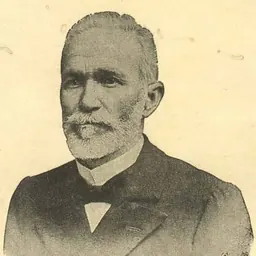 Portrait of Luís Viana