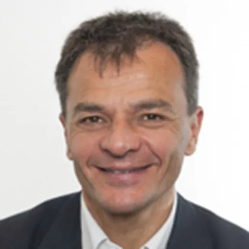 Portrait of Stefano Fassina