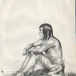 Portrait of Yellow Wolf