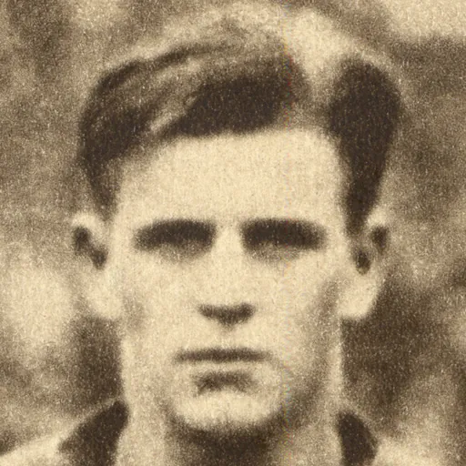 Portrait of Albin Dahl