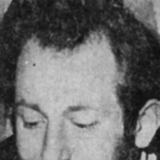 Portrait of Florin Mugur