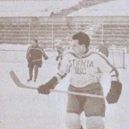 Portrait of Andrei Ioanovici