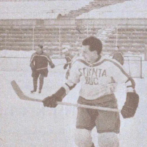 Portrait of Andrei Ioanovici
