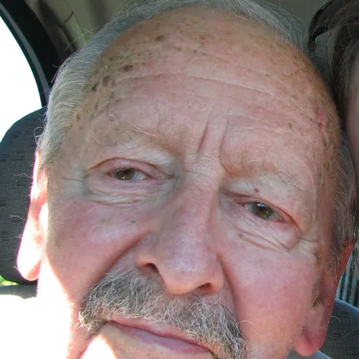 Portrait of Howard Bergerson