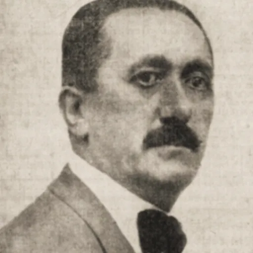 Portrait of Alexandru Mavrodi