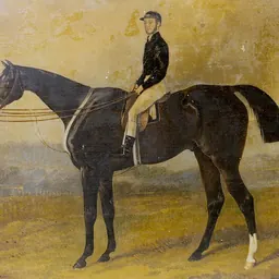 Portrait of Chris Green