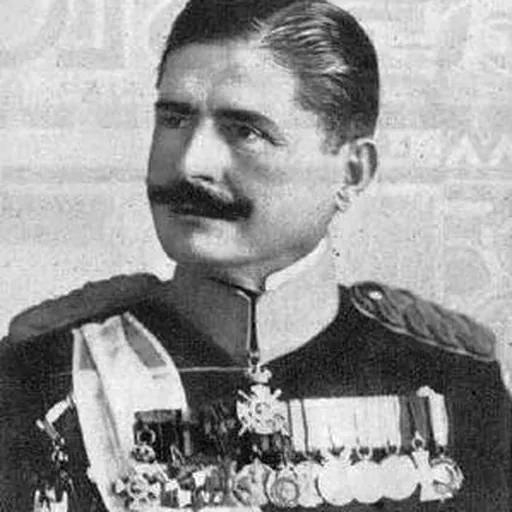 Portrait of Dragomir Stojanović