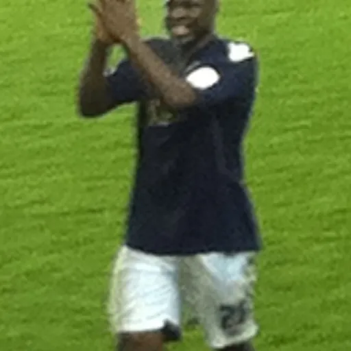 Portrait of Danny Shittu