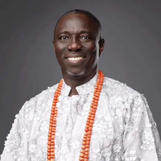 Portrait of Asue Ighodalo