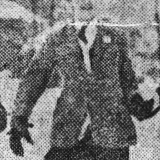 Portrait of Freddy Mésot