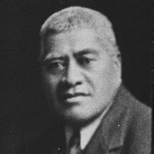Portrait of Taite Te Tomo