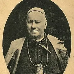 Portrait of Guillaume-René Meignan