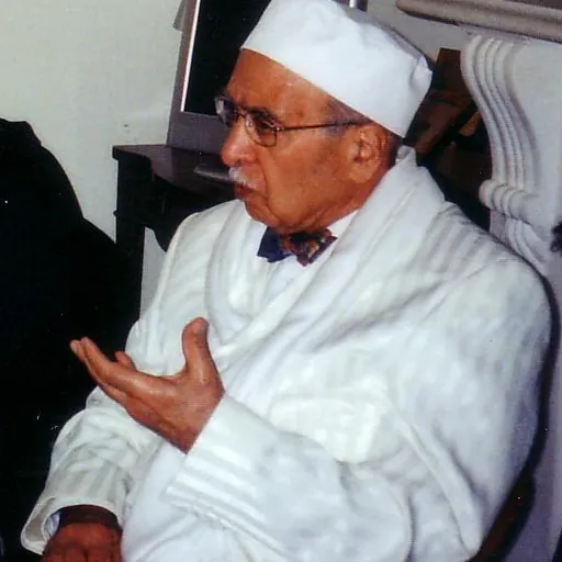 Portrait of Farhang Mehr
