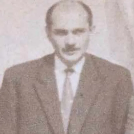 Portrait of Mihai Timu
