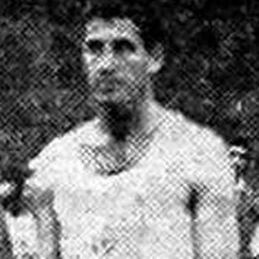Portrait of Trajko Rajković