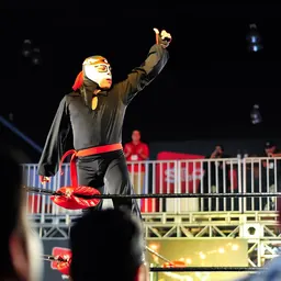 Portrait of Octagóncito